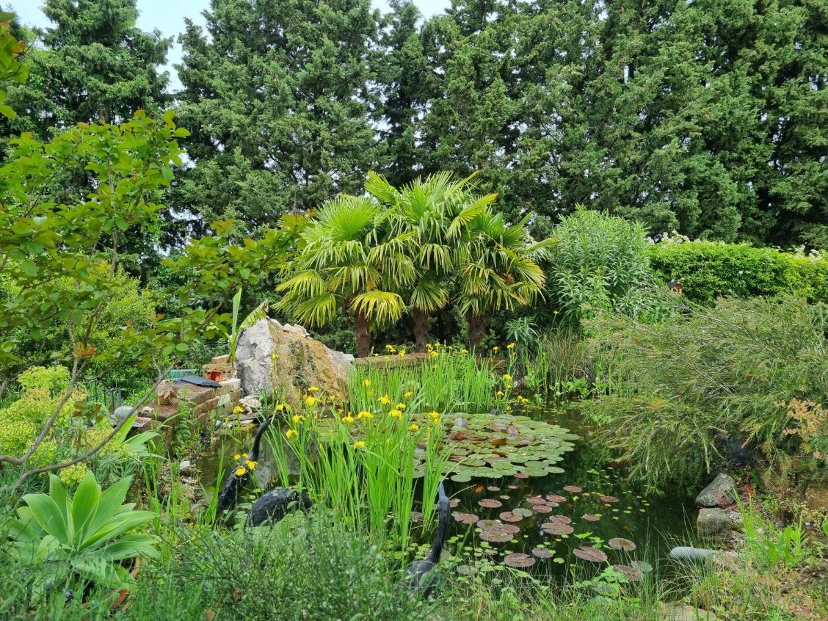 Sečovlje Garden Apartment מראה חיצוני תמונה